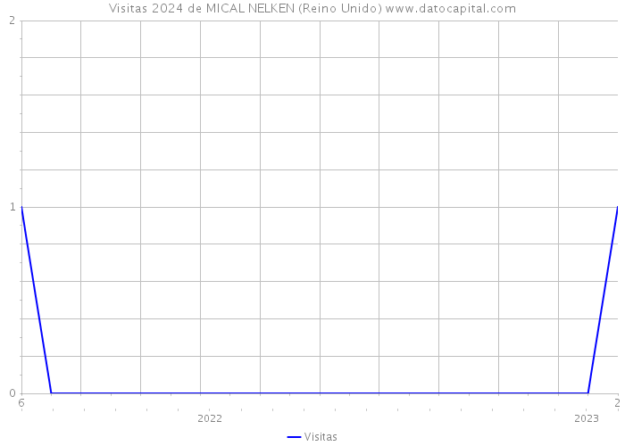 Visitas 2024 de MICAL NELKEN (Reino Unido) 