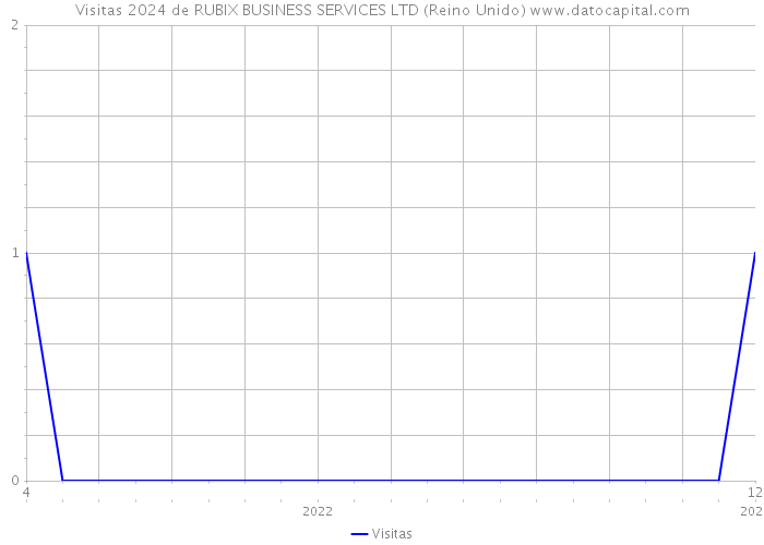 Visitas 2024 de RUBIX BUSINESS SERVICES LTD (Reino Unido) 