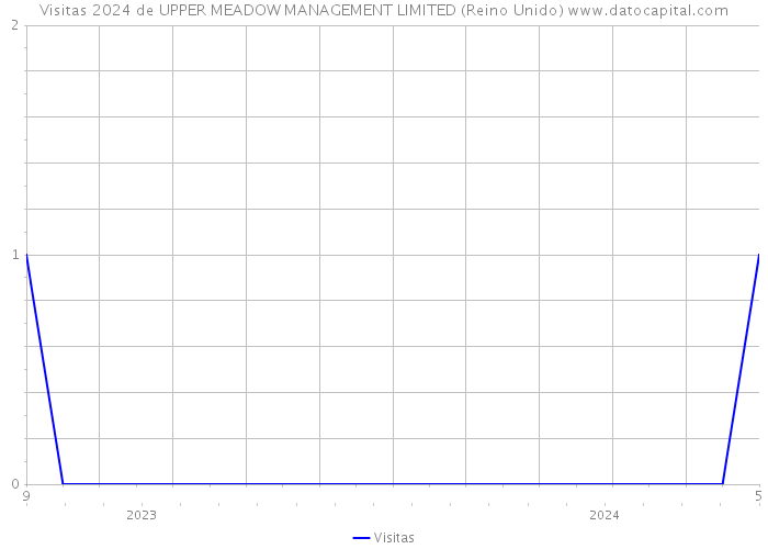 Visitas 2024 de UPPER MEADOW MANAGEMENT LIMITED (Reino Unido) 