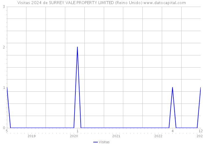 Visitas 2024 de SURREY VALE PROPERTY LIMITED (Reino Unido) 