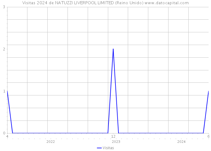 Visitas 2024 de NATUZZI LIVERPOOL LIMITED (Reino Unido) 