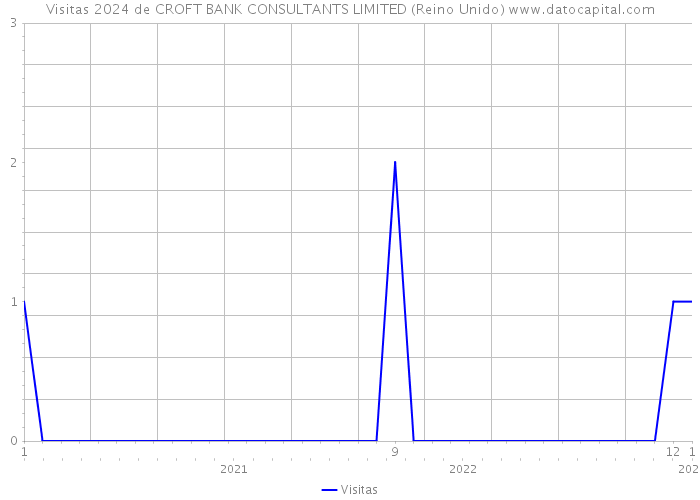 Visitas 2024 de CROFT BANK CONSULTANTS LIMITED (Reino Unido) 