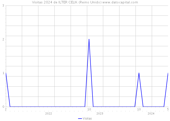 Visitas 2024 de ILTER CELIK (Reino Unido) 