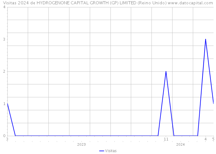 Visitas 2024 de HYDROGENONE CAPITAL GROWTH (GP) LIMITED (Reino Unido) 