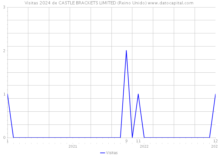 Visitas 2024 de CASTLE BRACKETS LIMITED (Reino Unido) 