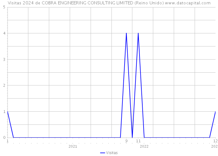 Visitas 2024 de COBRA ENGINEERING CONSULTING LIMITED (Reino Unido) 