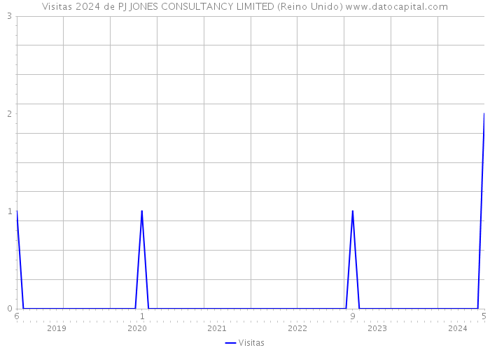 Visitas 2024 de PJ JONES CONSULTANCY LIMITED (Reino Unido) 