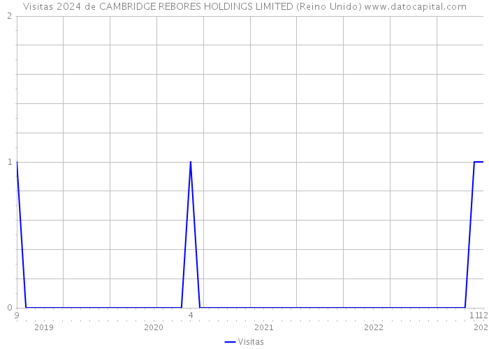 Visitas 2024 de CAMBRIDGE REBORES HOLDINGS LIMITED (Reino Unido) 