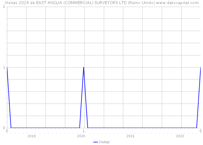 Visitas 2024 de EAST ANGLIA (COMMERCIAL) SURVEYORS LTD (Reino Unido) 