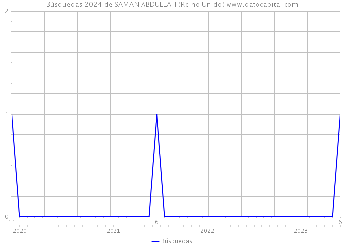 Búsquedas 2024 de SAMAN ABDULLAH (Reino Unido) 