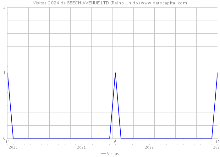 Visitas 2024 de BEECH AVENUE LTD (Reino Unido) 