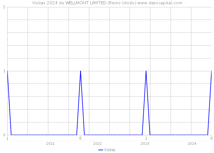 Visitas 2024 de WELLMONT LIMITED (Reino Unido) 