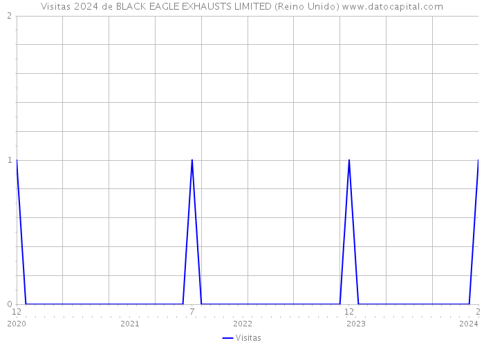 Visitas 2024 de BLACK EAGLE EXHAUSTS LIMITED (Reino Unido) 