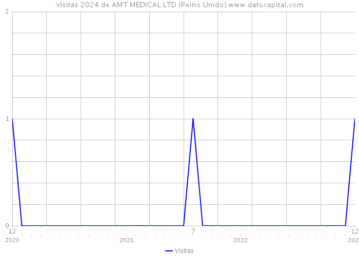 Visitas 2024 de AMT MEDICAL LTD (Reino Unido) 