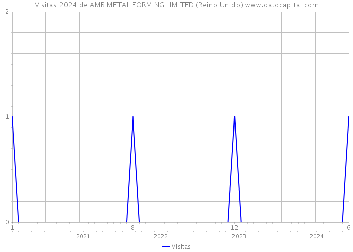 Visitas 2024 de AMB METAL FORMING LIMITED (Reino Unido) 