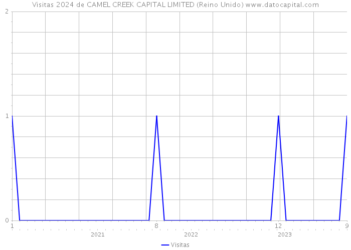 Visitas 2024 de CAMEL CREEK CAPITAL LIMITED (Reino Unido) 