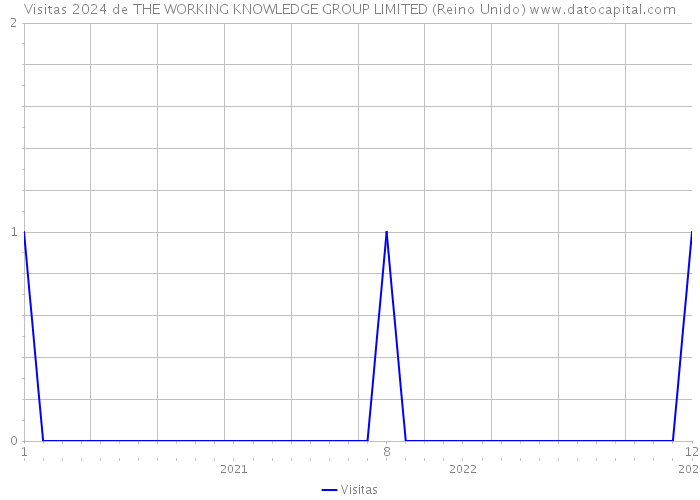 Visitas 2024 de THE WORKING KNOWLEDGE GROUP LIMITED (Reino Unido) 
