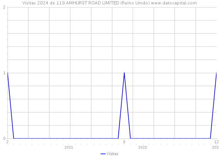 Visitas 2024 de 119 AMHURST ROAD LIMITED (Reino Unido) 