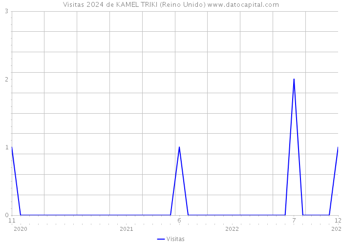 Visitas 2024 de KAMEL TRIKI (Reino Unido) 