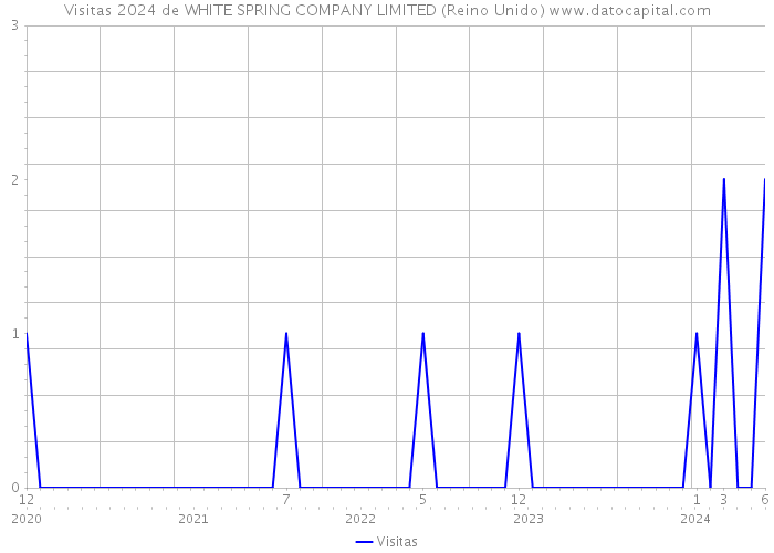 Visitas 2024 de WHITE SPRING COMPANY LIMITED (Reino Unido) 