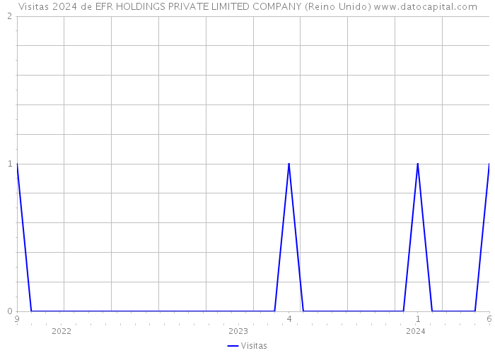 Visitas 2024 de EFR HOLDINGS PRIVATE LIMITED COMPANY (Reino Unido) 