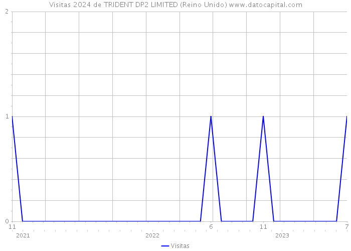 Visitas 2024 de TRIDENT DP2 LIMITED (Reino Unido) 