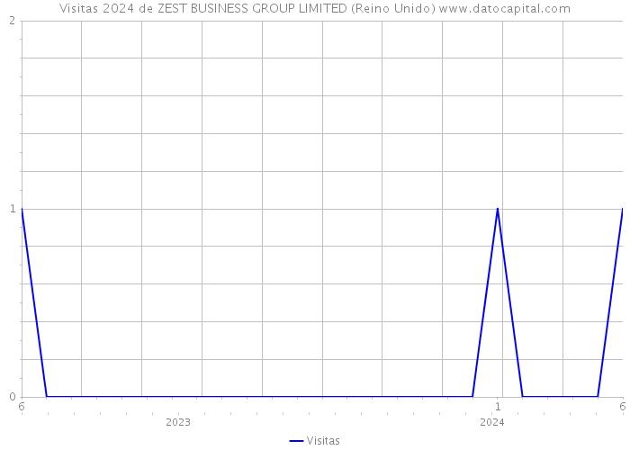 Visitas 2024 de ZEST BUSINESS GROUP LIMITED (Reino Unido) 