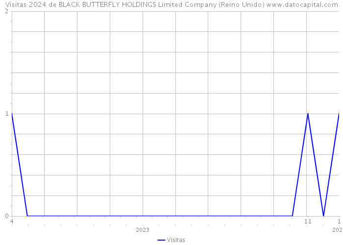 Visitas 2024 de BLACK BUTTERFLY HOLDINGS Limited Company (Reino Unido) 