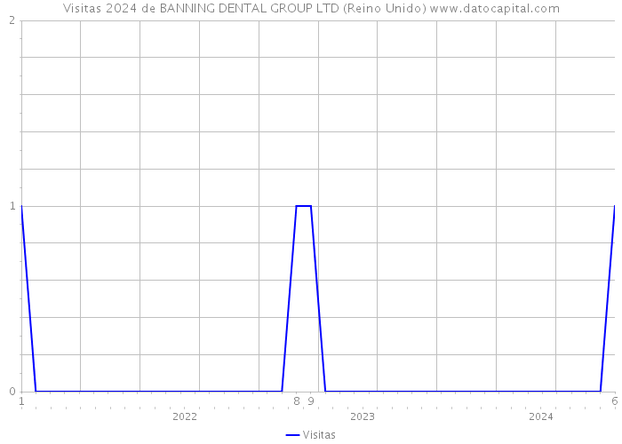 Visitas 2024 de BANNING DENTAL GROUP LTD (Reino Unido) 