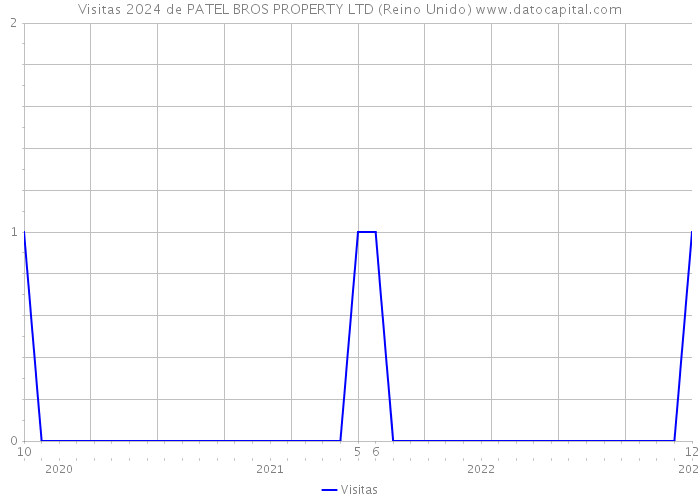 Visitas 2024 de PATEL BROS PROPERTY LTD (Reino Unido) 