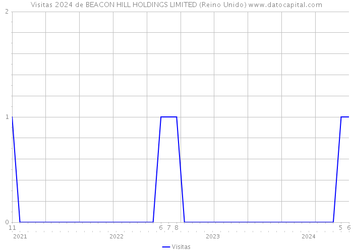 Visitas 2024 de BEACON HILL HOLDINGS LIMITED (Reino Unido) 