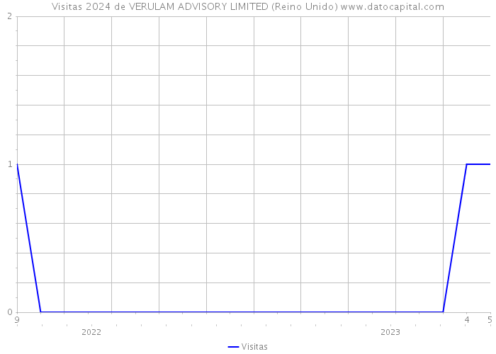 Visitas 2024 de VERULAM ADVISORY LIMITED (Reino Unido) 