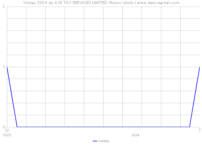 Visitas 2024 de A M TAX SERVICES LIMITED (Reino Unido) 