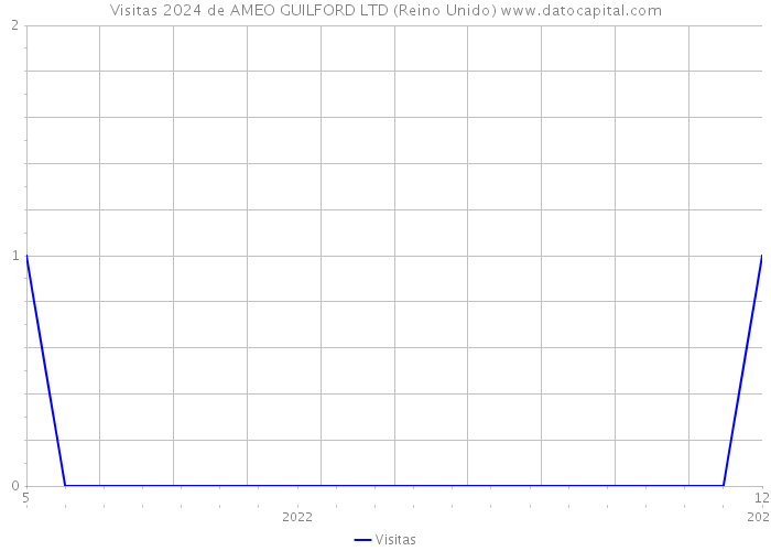 Visitas 2024 de AMEO GUILFORD LTD (Reino Unido) 