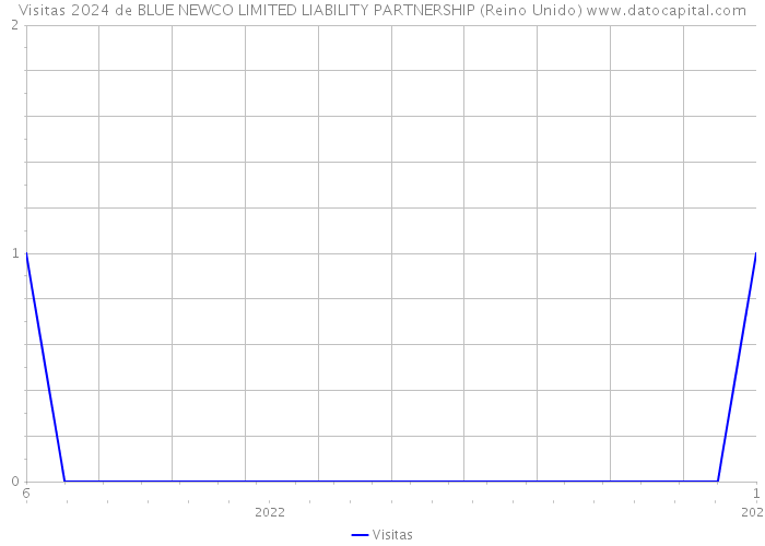 Visitas 2024 de BLUE NEWCO LIMITED LIABILITY PARTNERSHIP (Reino Unido) 