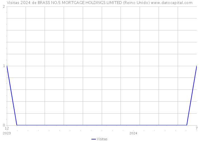 Visitas 2024 de BRASS NO.5 MORTGAGE HOLDINGS LIMITED (Reino Unido) 