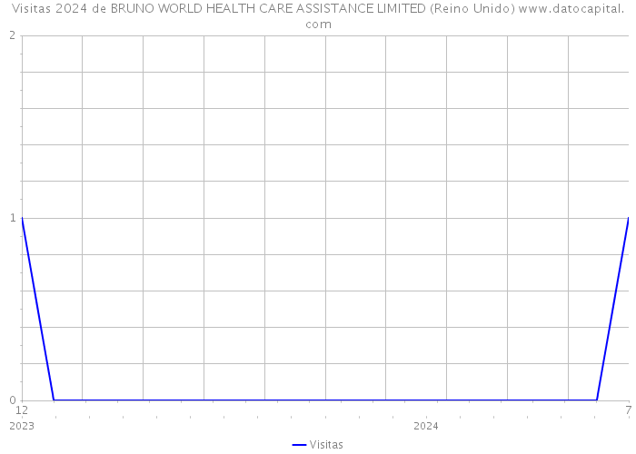 Visitas 2024 de BRUNO WORLD HEALTH CARE ASSISTANCE LIMITED (Reino Unido) 