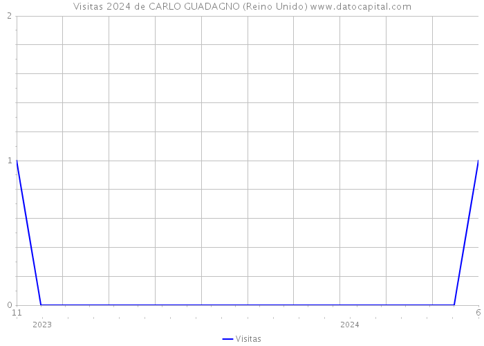 Visitas 2024 de CARLO GUADAGNO (Reino Unido) 