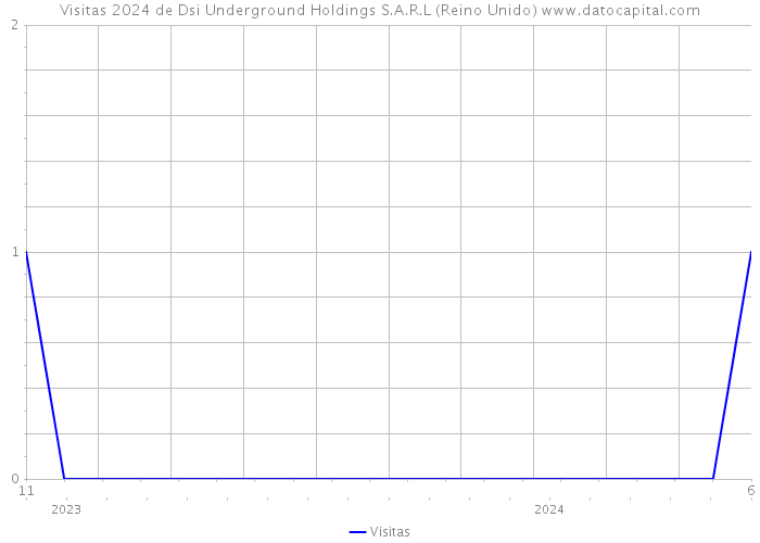 Visitas 2024 de Dsi Underground Holdings S.A.R.L (Reino Unido) 