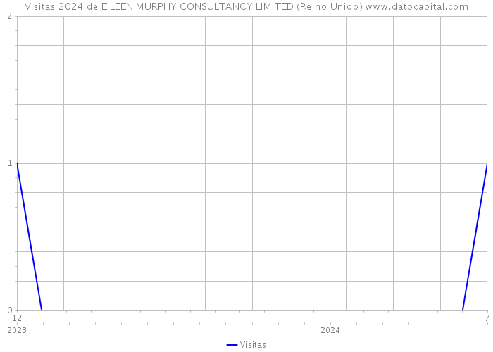 Visitas 2024 de EILEEN MURPHY CONSULTANCY LIMITED (Reino Unido) 