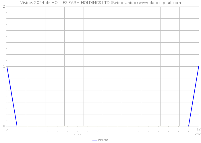 Visitas 2024 de HOLLIES FARM HOLDINGS LTD (Reino Unido) 