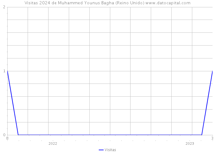 Visitas 2024 de Muhammed Younus Bagha (Reino Unido) 