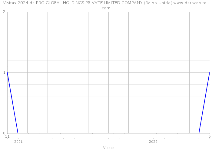 Visitas 2024 de PRO GLOBAL HOLDINGS PRIVATE LIMITED COMPANY (Reino Unido) 