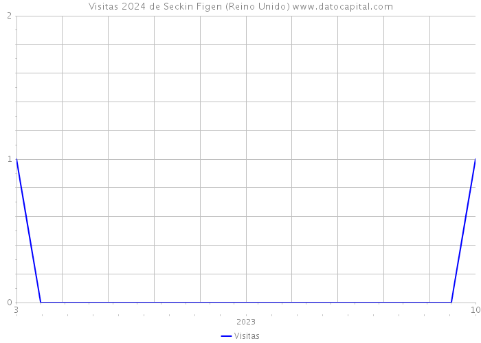 Visitas 2024 de Seckin Figen (Reino Unido) 