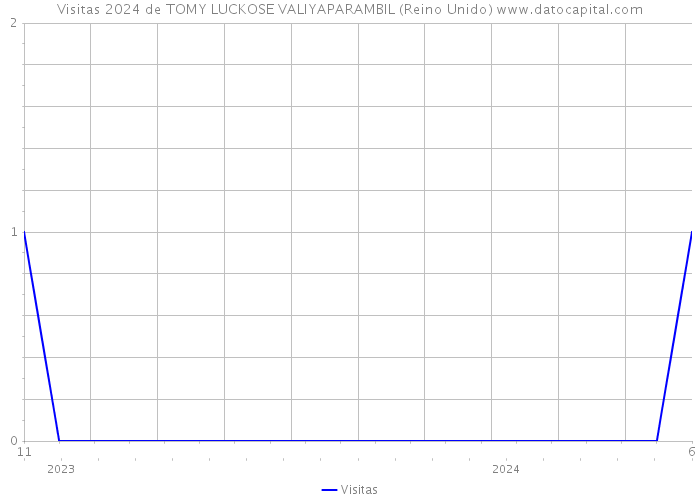 Visitas 2024 de TOMY LUCKOSE VALIYAPARAMBIL (Reino Unido) 