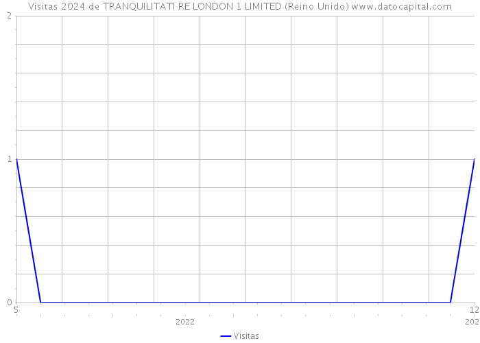 Visitas 2024 de TRANQUILITATI RE LONDON 1 LIMITED (Reino Unido) 