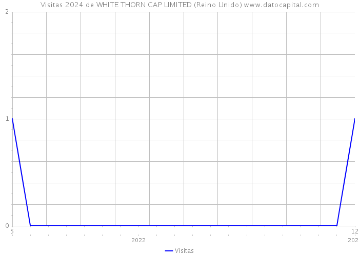 Visitas 2024 de WHITE THORN CAP LIMITED (Reino Unido) 