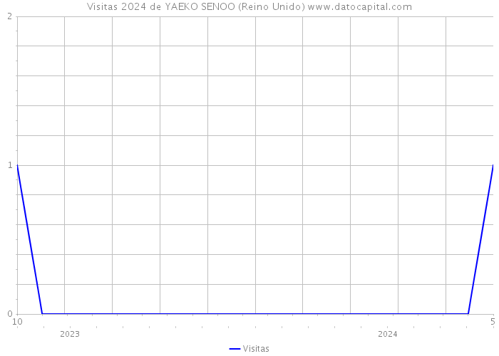 Visitas 2024 de YAEKO SENOO (Reino Unido) 