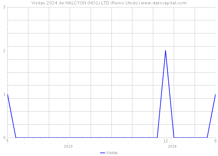 Visitas 2024 de HALCYON (NO1) LTD (Reino Unido) 