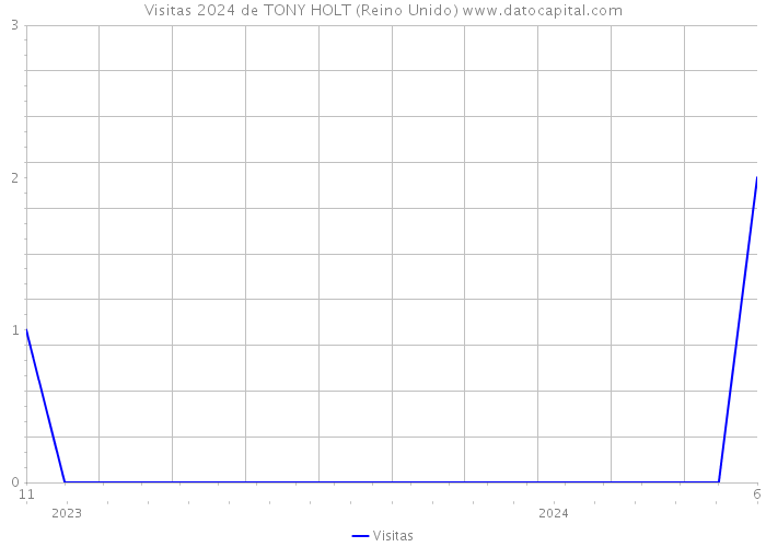 Visitas 2024 de TONY HOLT (Reino Unido) 